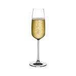 66091 Mirage Champagne Glass