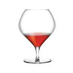 66103 Fantasy Cognac Glass