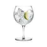 66300 Gin Tonic Glass