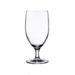 67101 Reserva Beer Glass